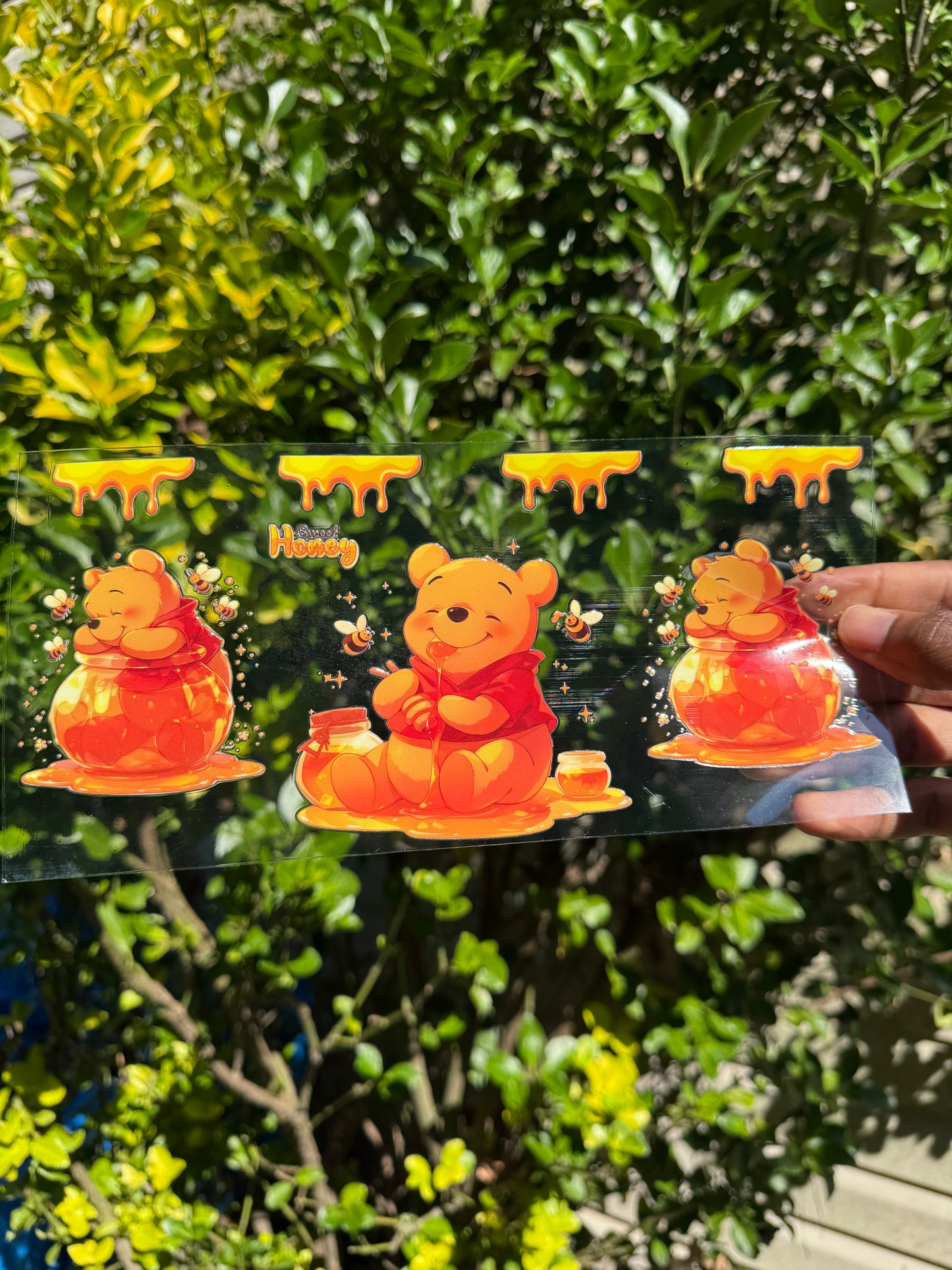 Winnie The Pooh Honey