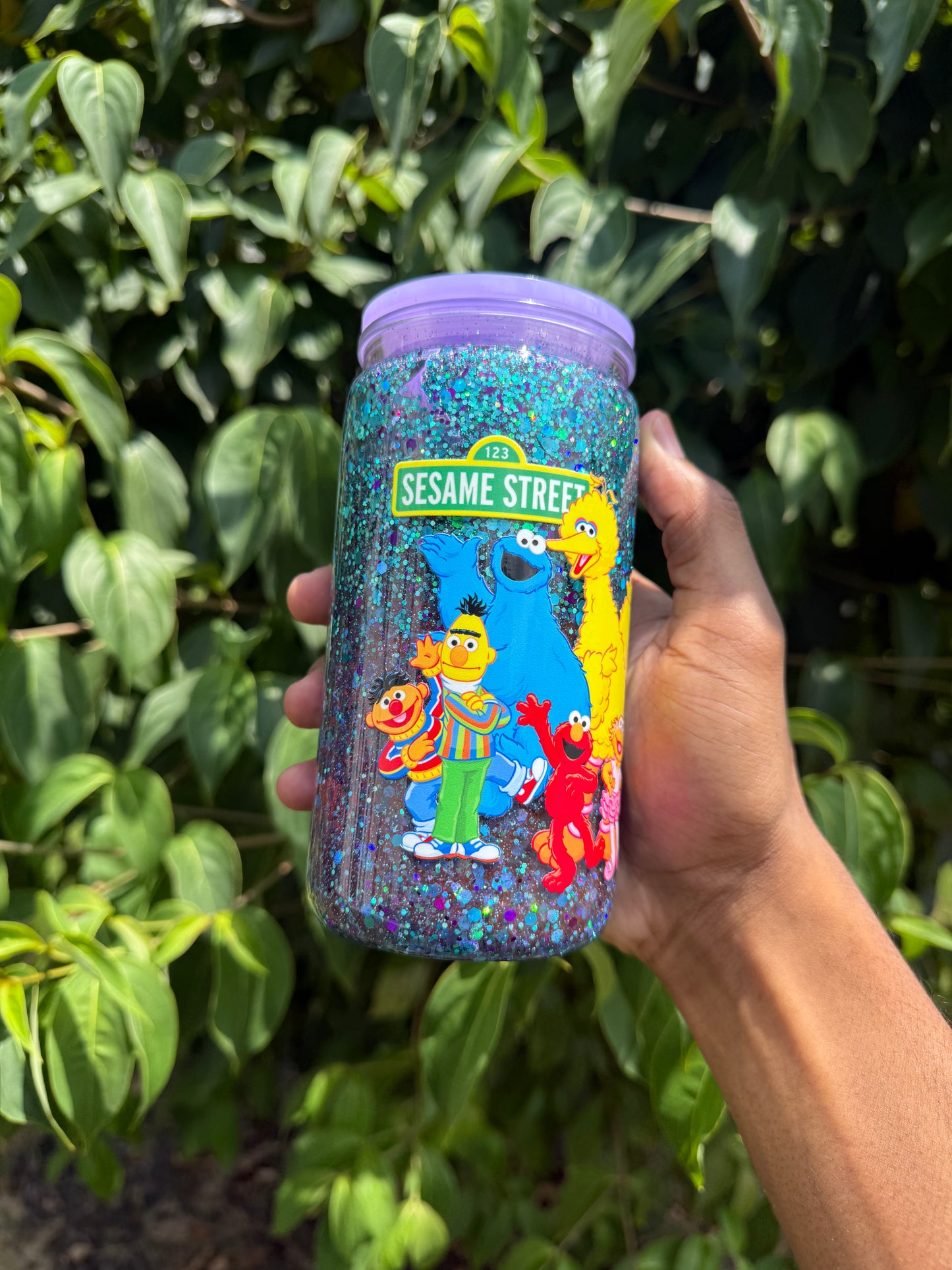 SESAME STREET SUSPENDED FLOW