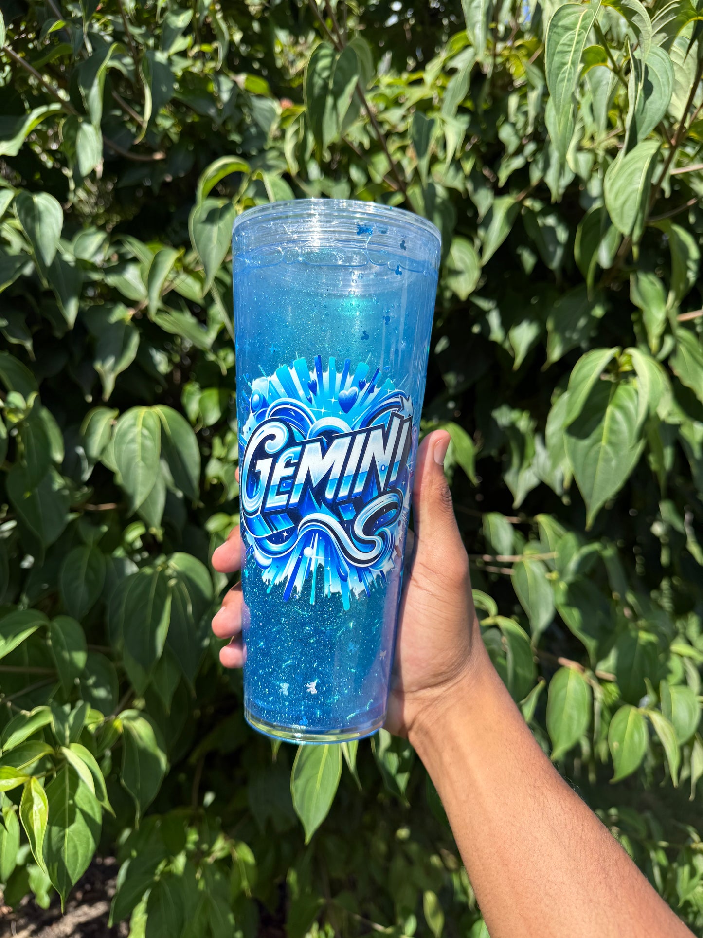 GEMINI SUSPENDED FLOW